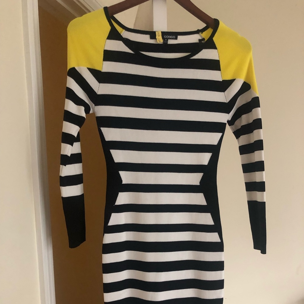Fitted Striped Dress